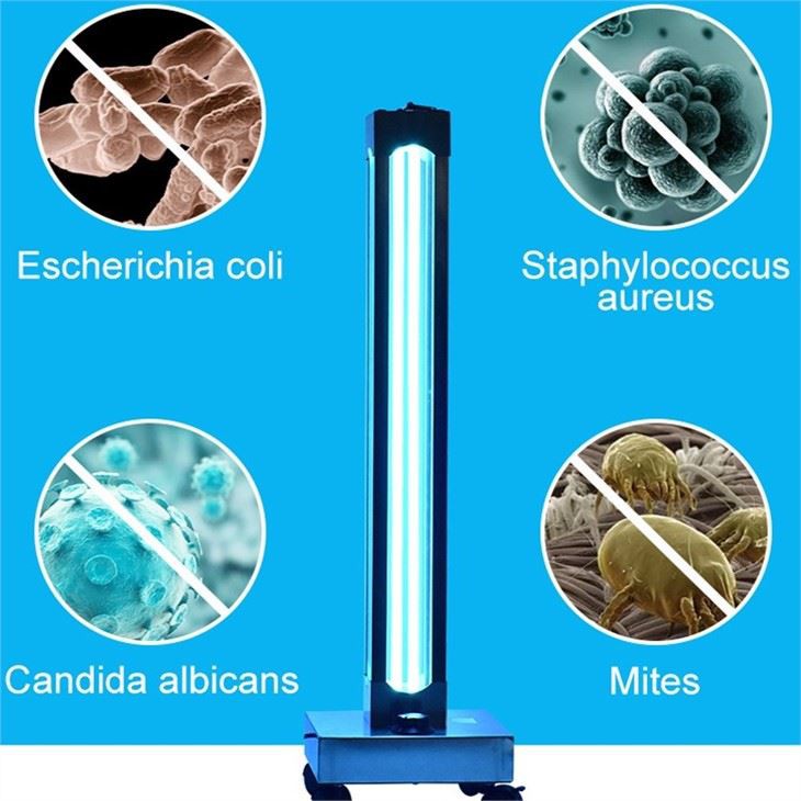 Movable UV Light Sterilizer